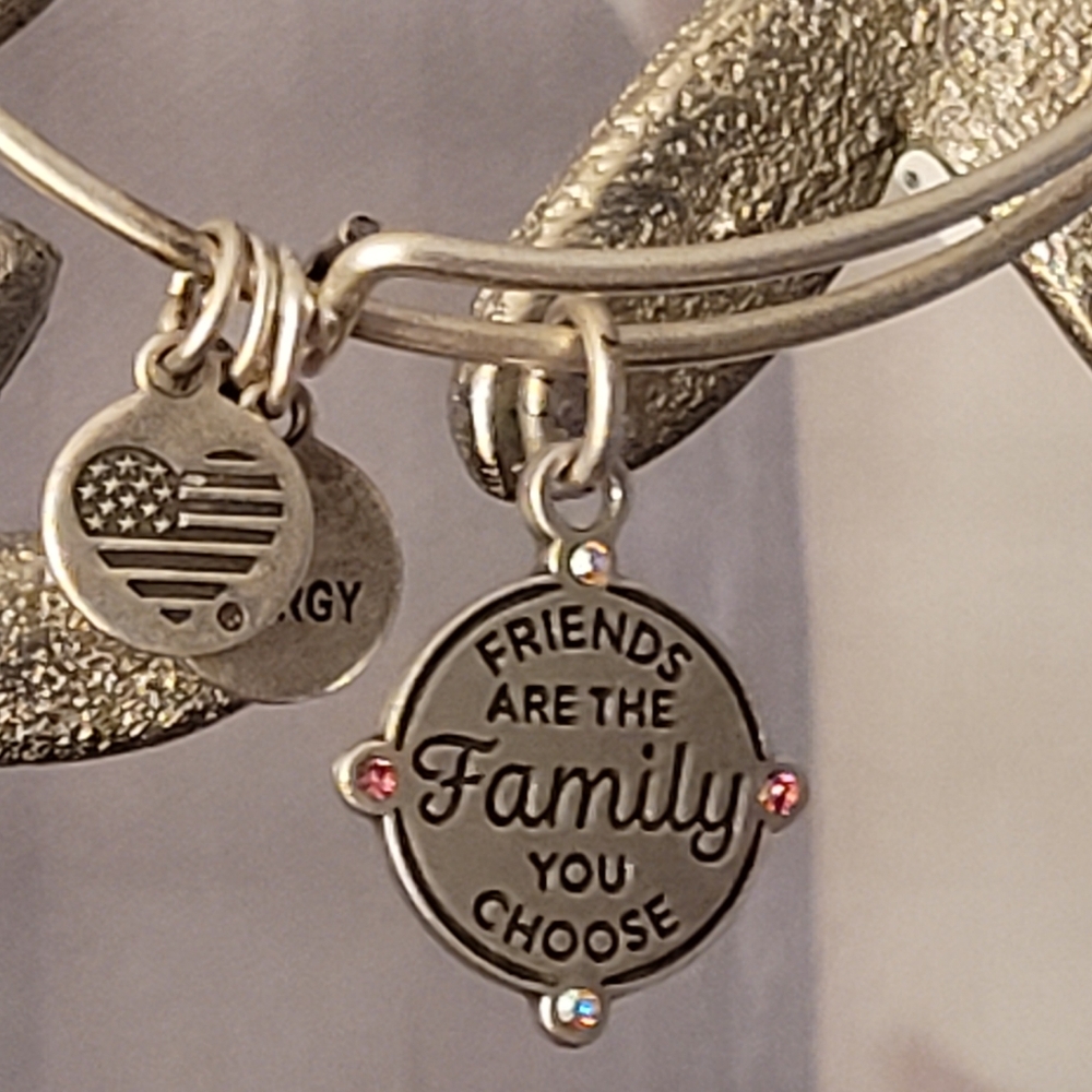 Alex & Ani Friends Are The Family You Choose Charm Bangle Bracelet Silver-tone - Picture 8 of 16